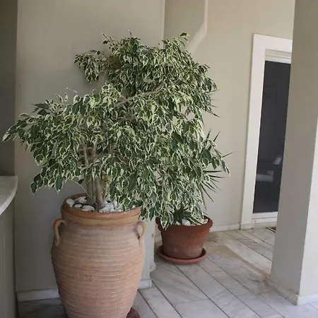 Διαμέρισμα Blue Bango Corfu Kastanéa